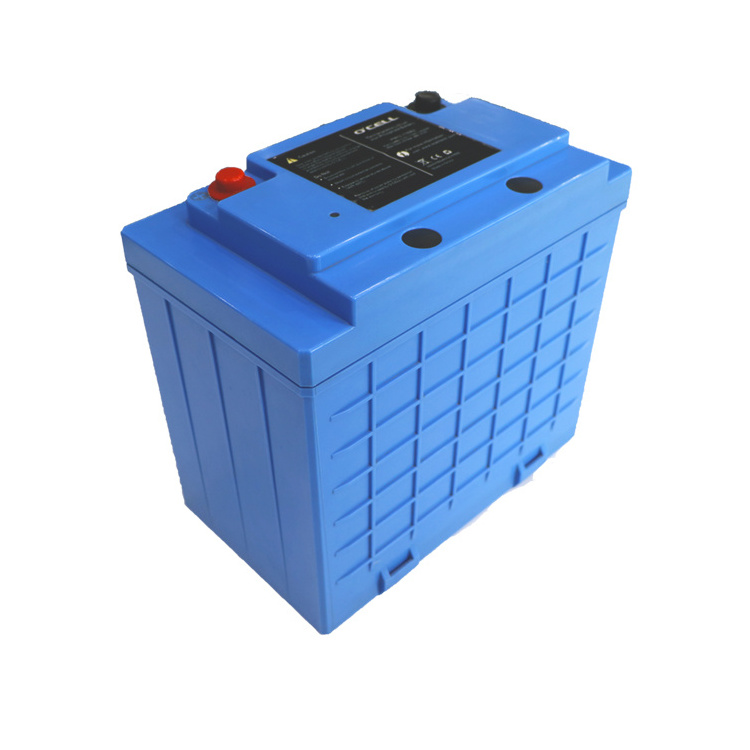 24 Volt Lithium Ion Battery LiFePo4 Battery 50Ah 24V Batterie Lithium Ion