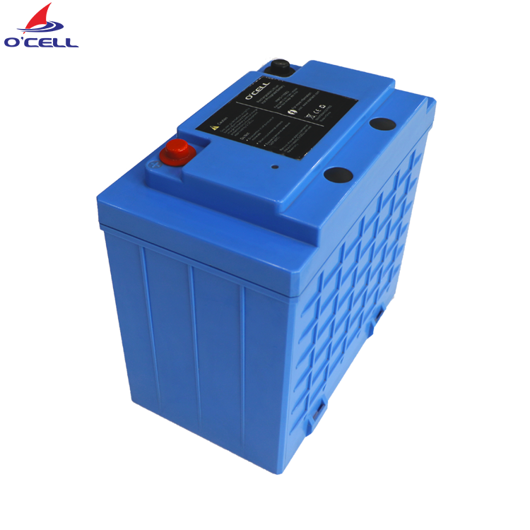 24 Volt Lithium Ion Battery LiFePo4 Battery 50Ah 24V Batterie Lithium Ion