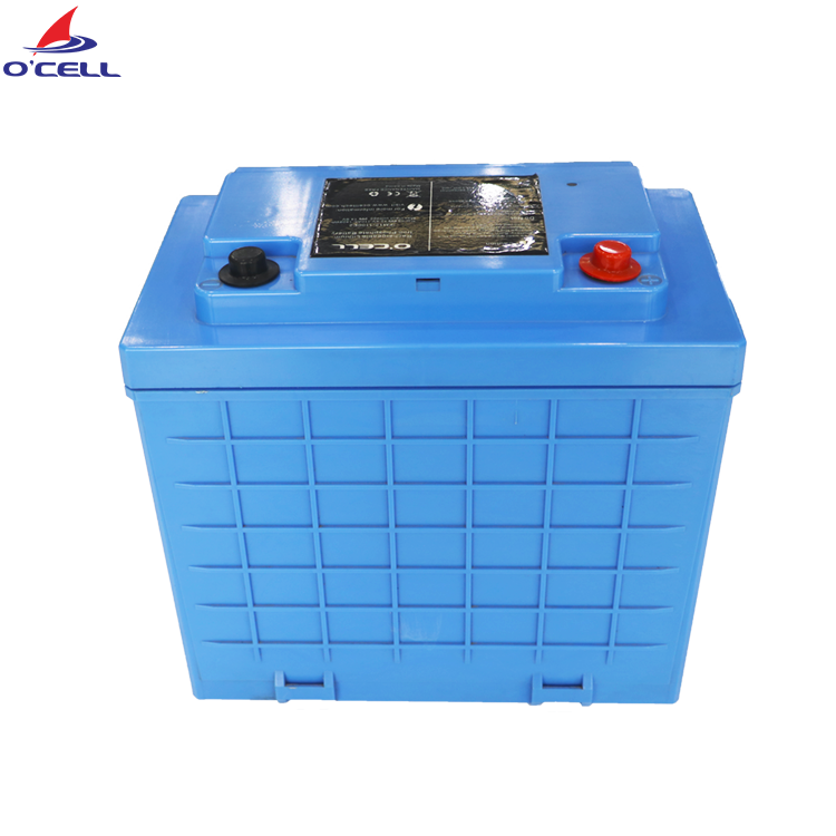 24 Volt Lithium Ion Battery LiFePo4 Battery 50Ah 24V Batterie Lithium Ion