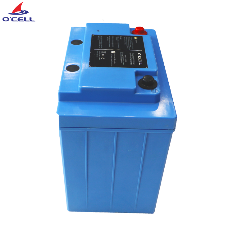 24 Volt Lithium Ion Battery LiFePo4 Battery 50Ah 24V Batterie Lithium Ion