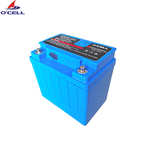 China O'CELL LiFePO4  Battery 24V/22Ah for COW/Computer on Wheel