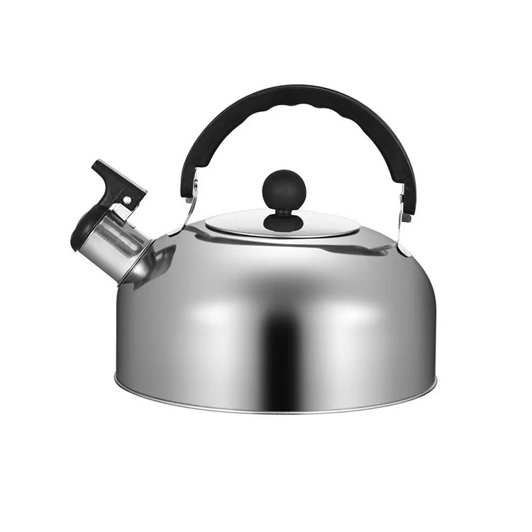 New Product Ideas 2024 Stainless Steel Whistling Tea Kettle 3L 4L 5L Color Coating Whistling Jug Tea Kettle For Kitchen Stove