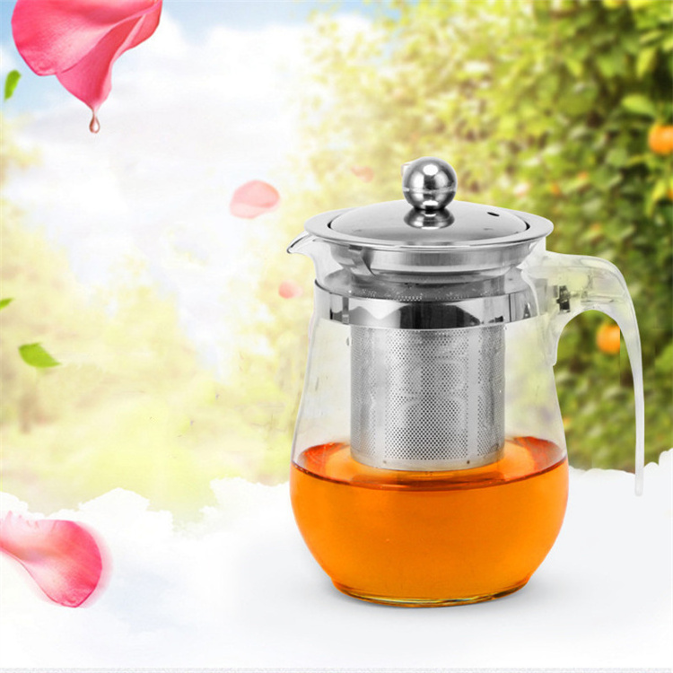 Home Office Camping Picnic Glass Tea Kettle Glass Tea Pot with Infuser and Lid for Blooming & Loose Leaf