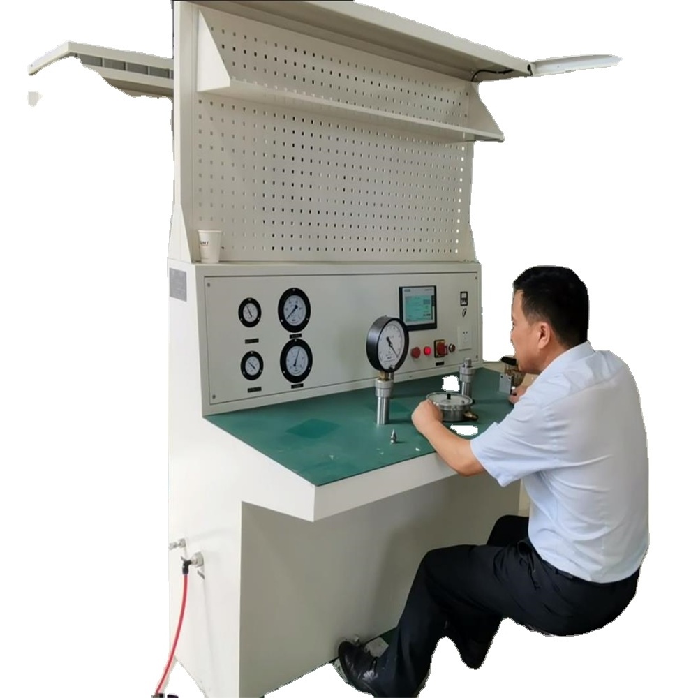 Hailaitaide Calibrated Pressure Gauge Test Calibration Equipment/instrument