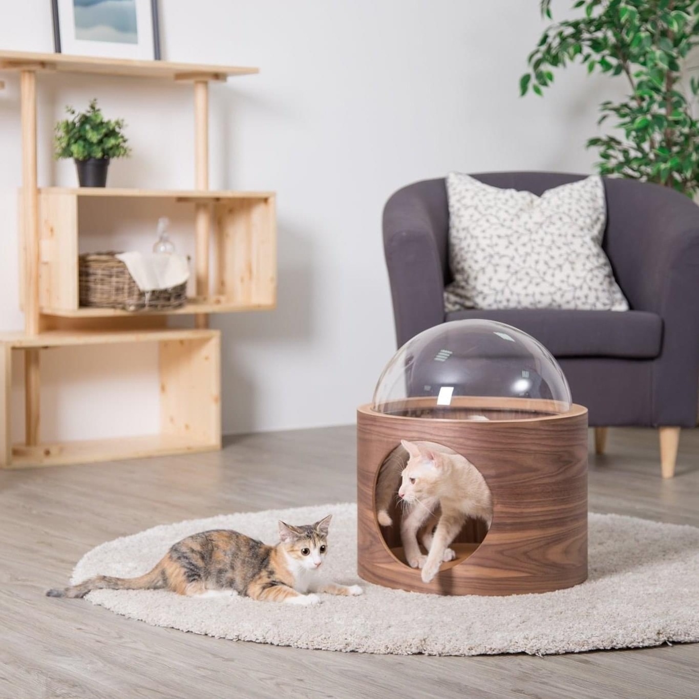 Cat Tree Pet Furniture Floor-mounted Space Capsule Bed Fashion Pet House Animal 1piece Pet Cages, Carriers & Houses Support