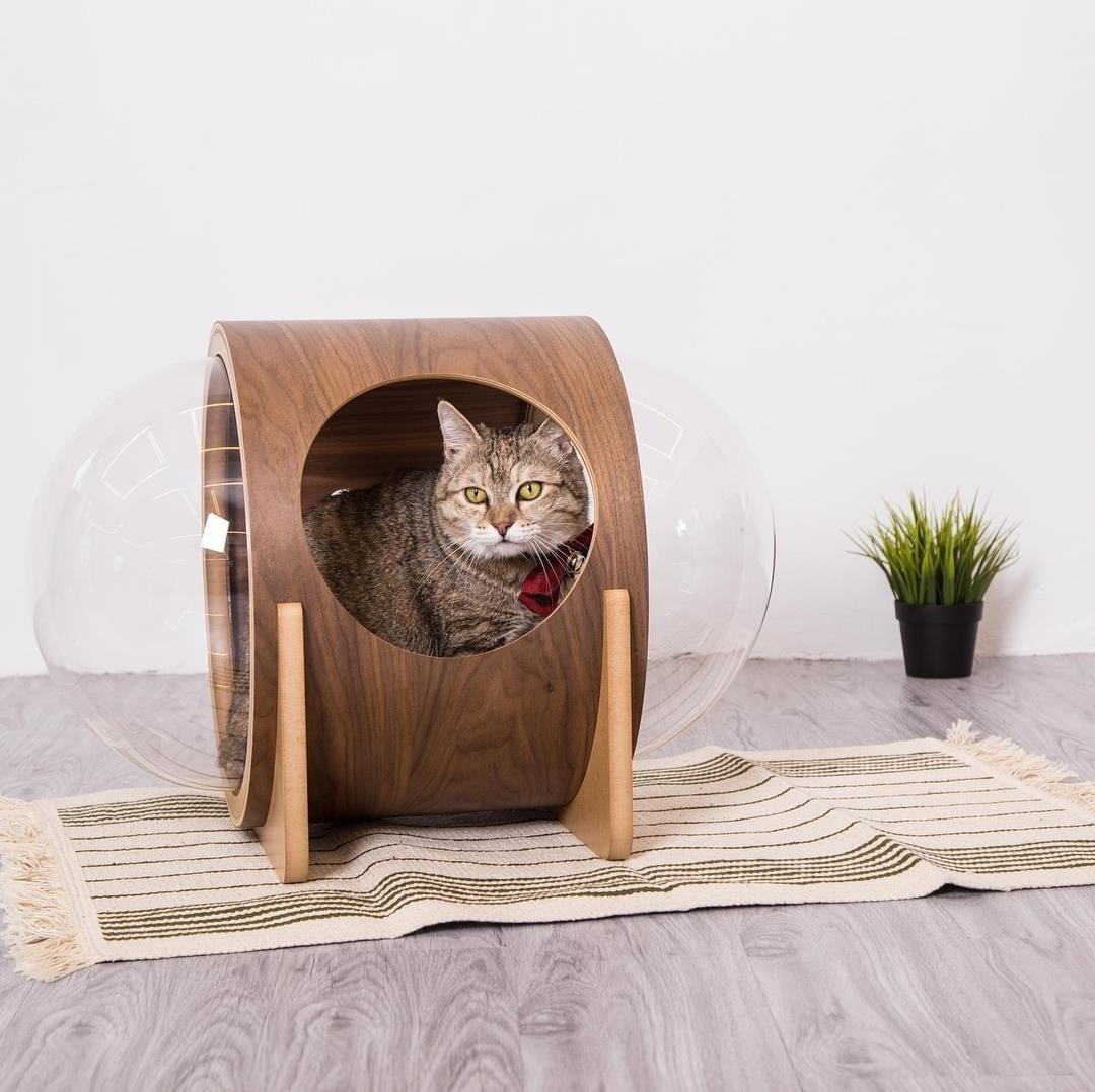 Cat Tree Pet Furniture Floor-mounted Space Capsule Bed Fashion Pet House Animal 1piece Pet Cages, Carriers & Houses Support