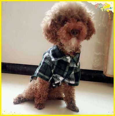 Lapel Button Shirt Tops Cotton Pet Shirts Cat Grid T Shirts Dog Clothes Jacket Coats Apparel Fashion Pet Puppy Dog Plaid Sport