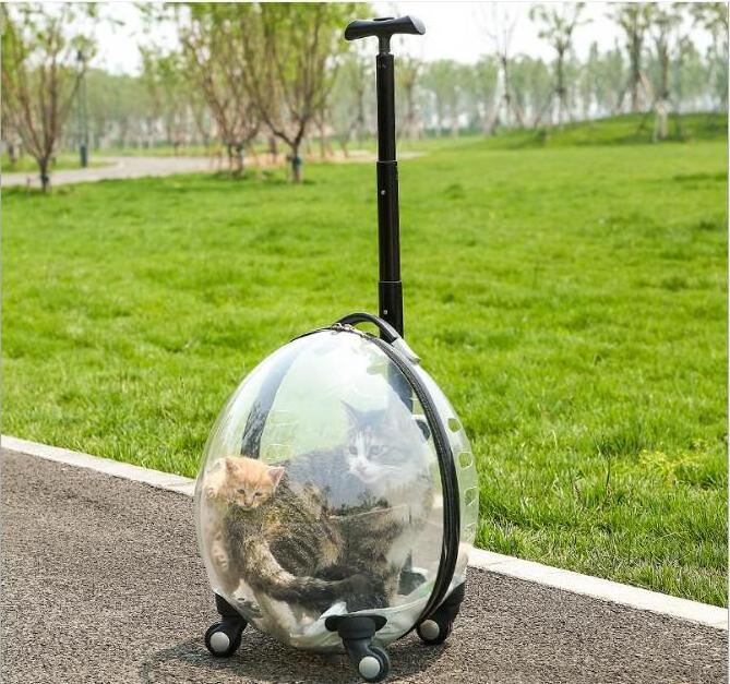 Pet Dog Trolley Backpack Case Space Capsule Dogs Cats Carrier Bag Travel Wheeling Suitcase for Pet Transparent Outdoor Fashion