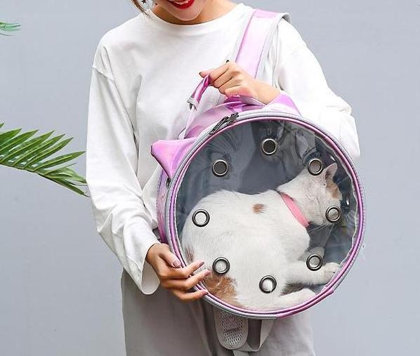 wholesale lovely pet carrier round bird hamster travel bag  transparent pet backpack from anhui bags