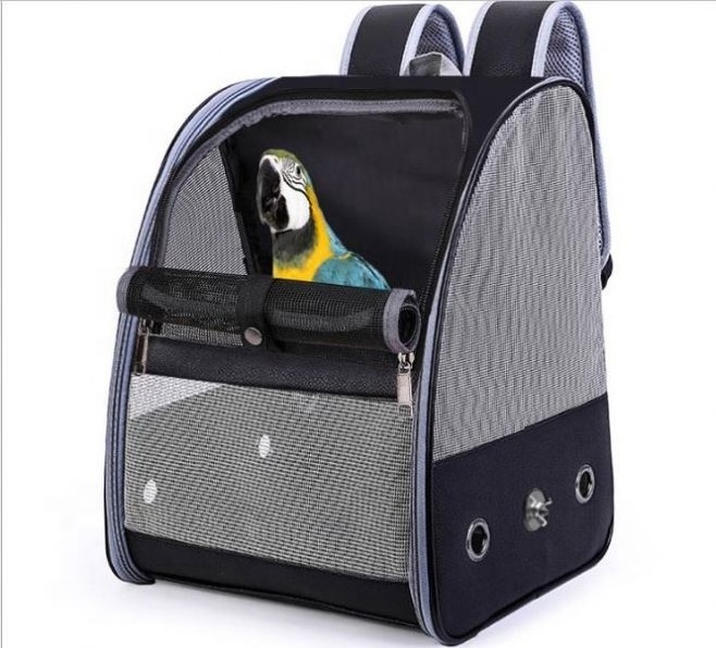 parrot carrier backpack mesh fabric backpack for birds travel