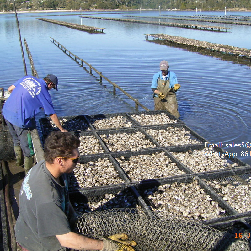 Cheap Good Quality Oyster Mesh Factory Oyster Bag Floats