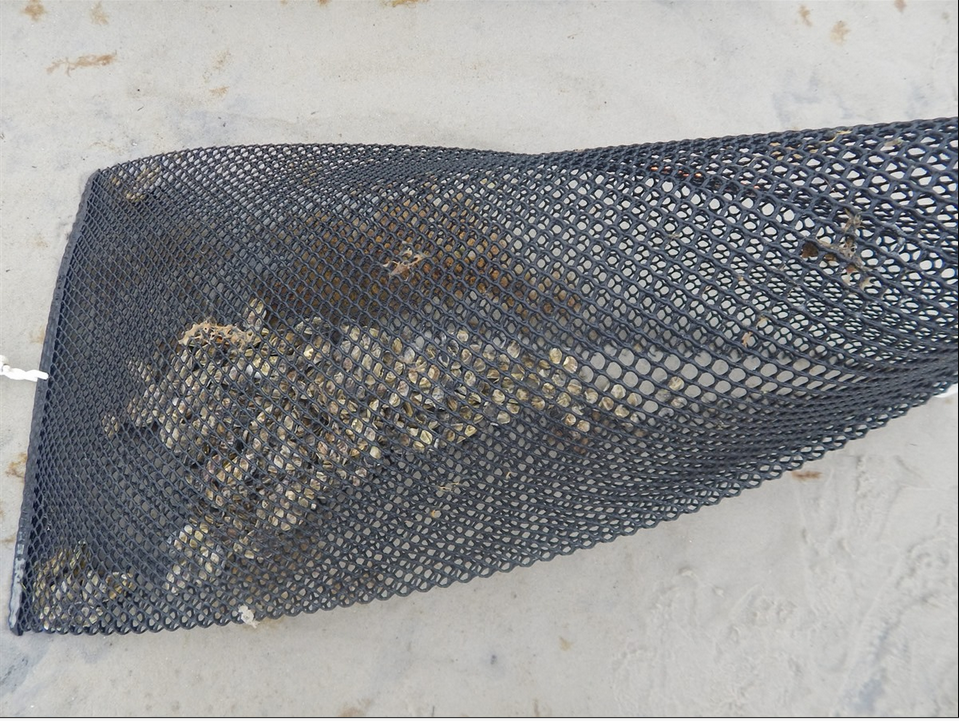 Seafood With rubbers Float Cheap Good Quality Oyster Mesh Factory Oyster Bag Floats 800 900g/pc