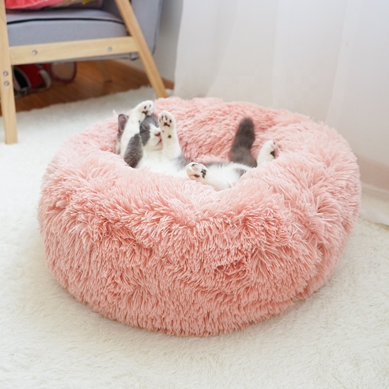 Comfortable soft fluffy long pile indoor pets like cats and dogs