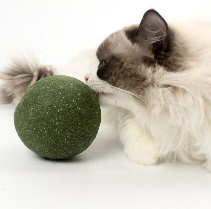 Wholesale Hot Sell Cat Catnip Ball Cat Treats Mint Leaf Ball Teeth Cleaning Cat Mint Ball