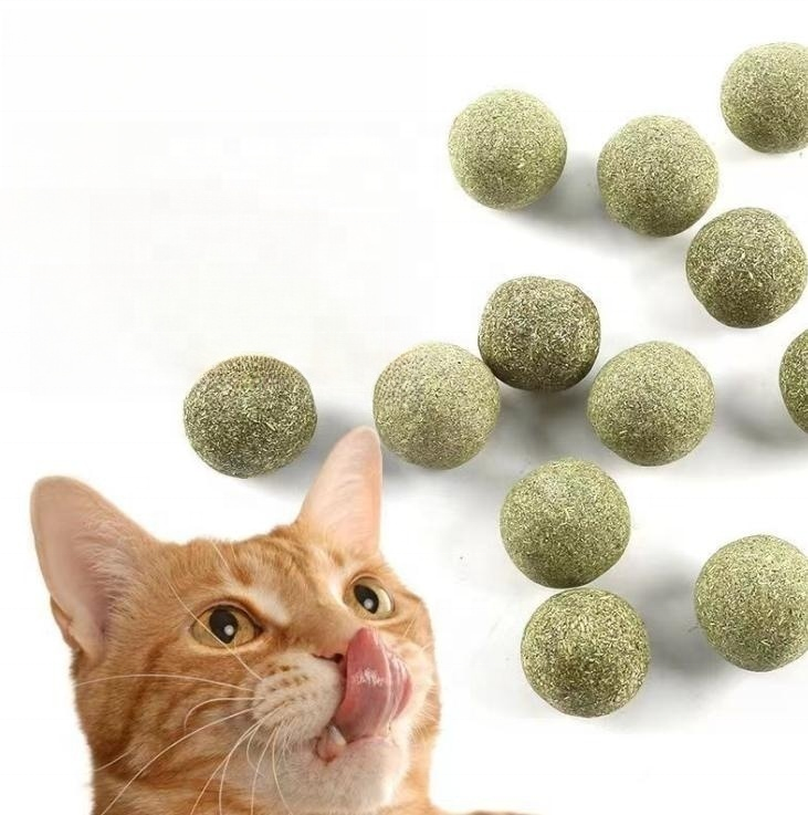 Wholesale Hot Sell Cat Catnip Ball Cat Treats Mint Leaf Ball Teeth Cleaning Cat Mint Ball