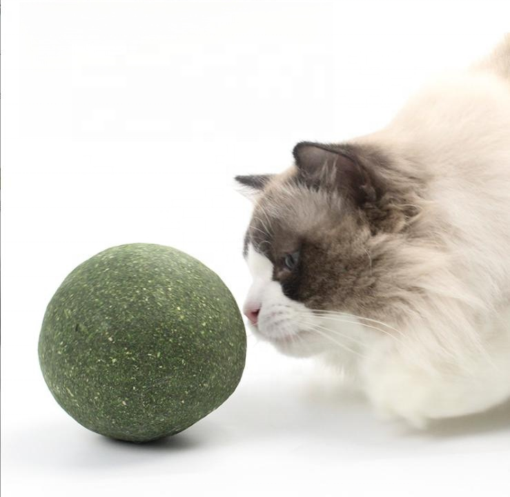 Wholesale Hot Sell Cat Catnip Ball Cat Treats Mint Leaf Ball Teeth Cleaning Cat Mint Ball