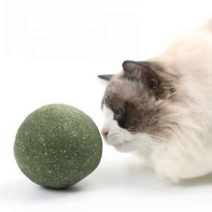 Wholesale Hot Sell Cat Catnip Ball Cat Treats Mint Leaf Ball Teeth Cleaning Cat Mint Ball