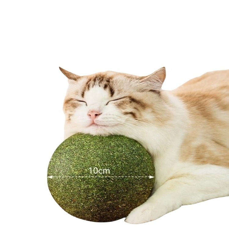 Wholesale Hot Sell Cat Catnip Ball Cat Treats Mint Leaf Ball Teeth Cleaning Cat Mint Ball