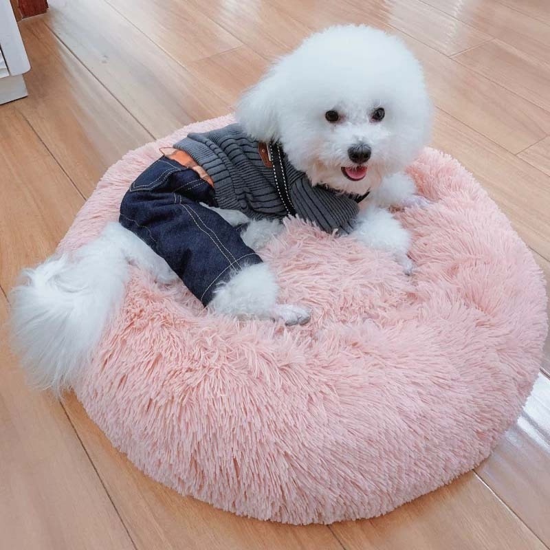 Comfortable soft fluffy long pile indoor pets like cats and dogs