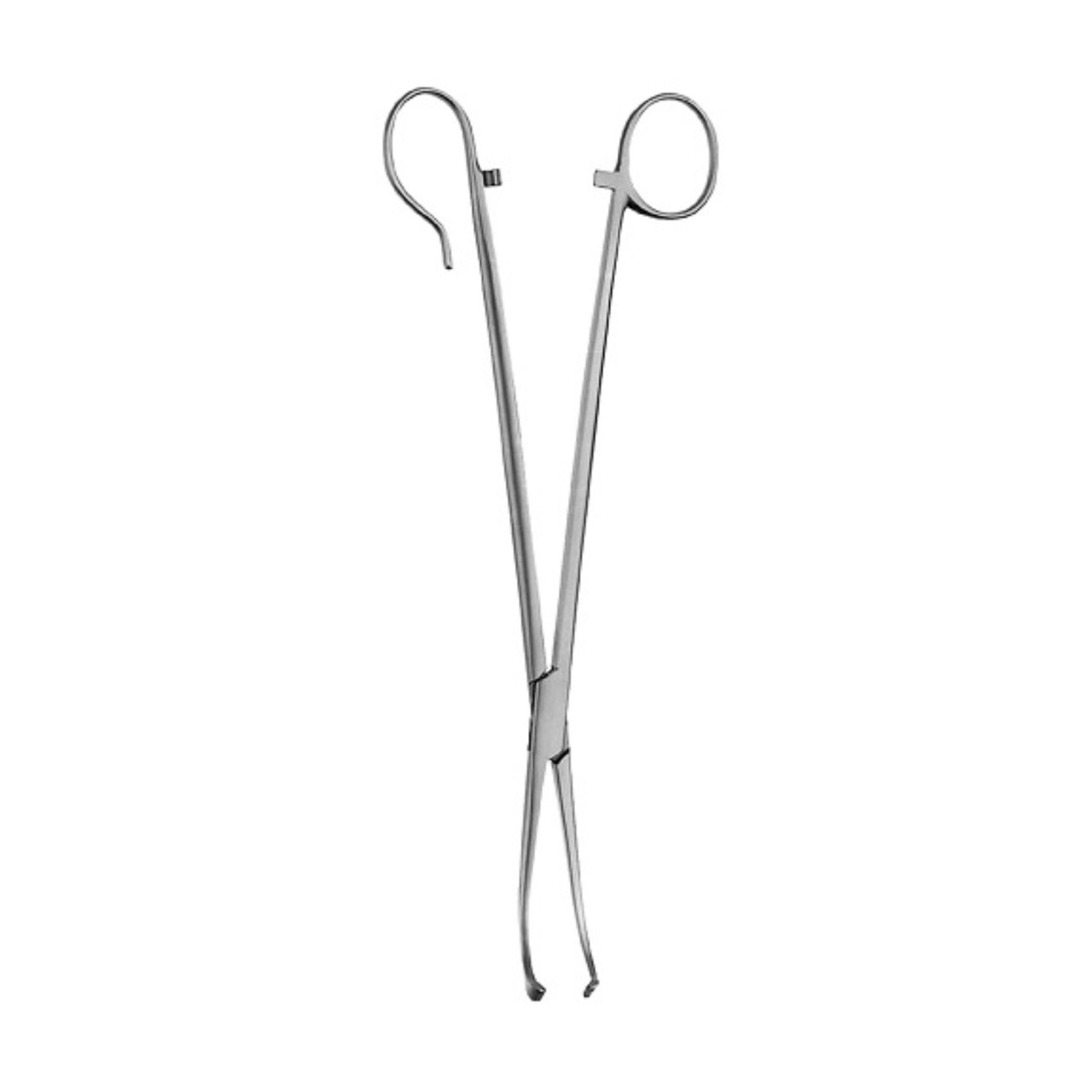 White Tonsil Seizing Forceps ENT Medical Tonsillectomy Surgery Instruments Clamps Wholesale Health Care Surgical Tools