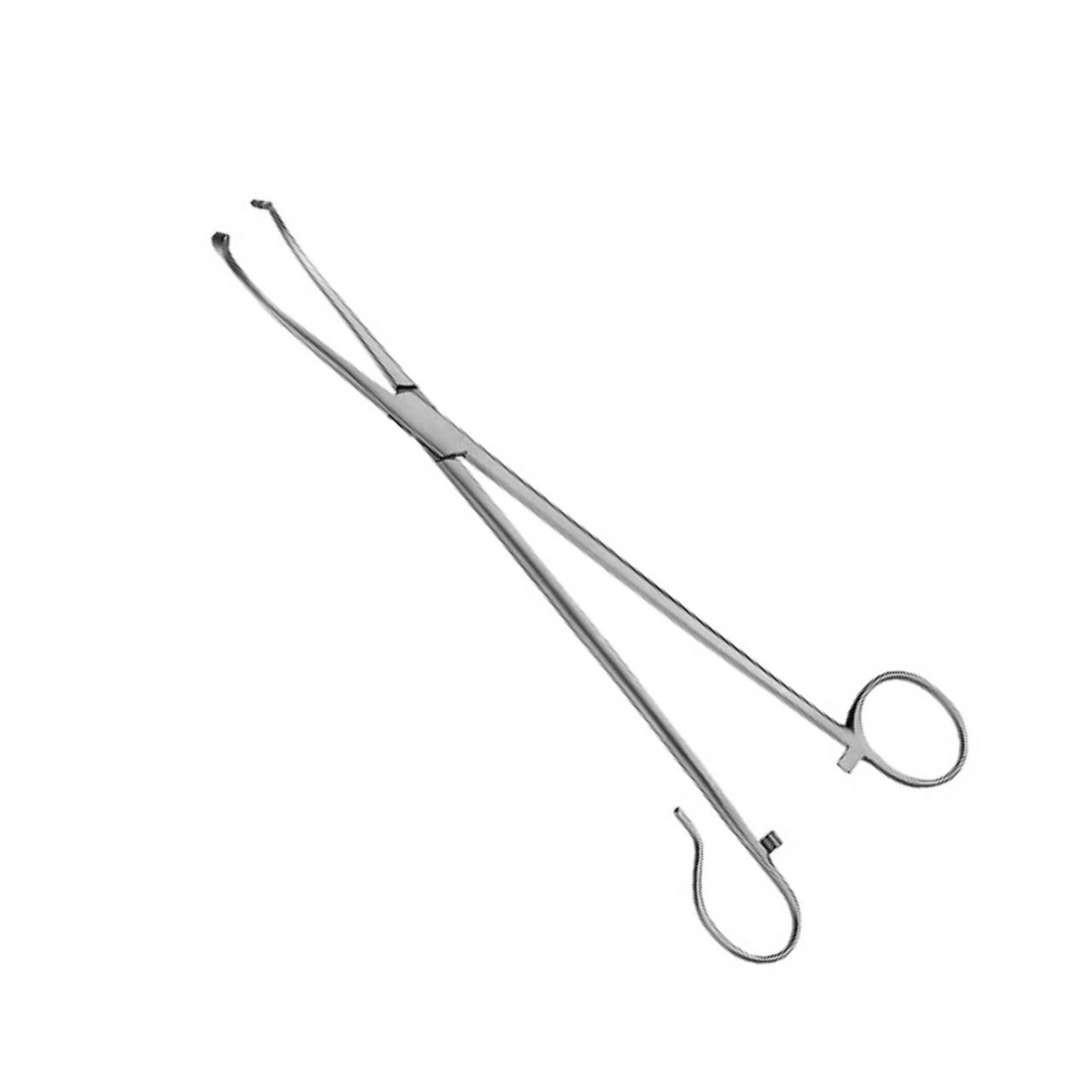 White Tonsil Seizing Forceps ENT Medical Tonsillectomy Surgery Instruments Clamps Wholesale Health Care Surgical Tools