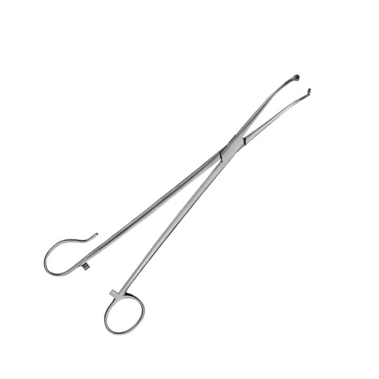 White Tonsil Seizing Forceps ENT Medical Tonsillectomy Surgery Instruments Clamps Wholesale Health Care Surgical Tools