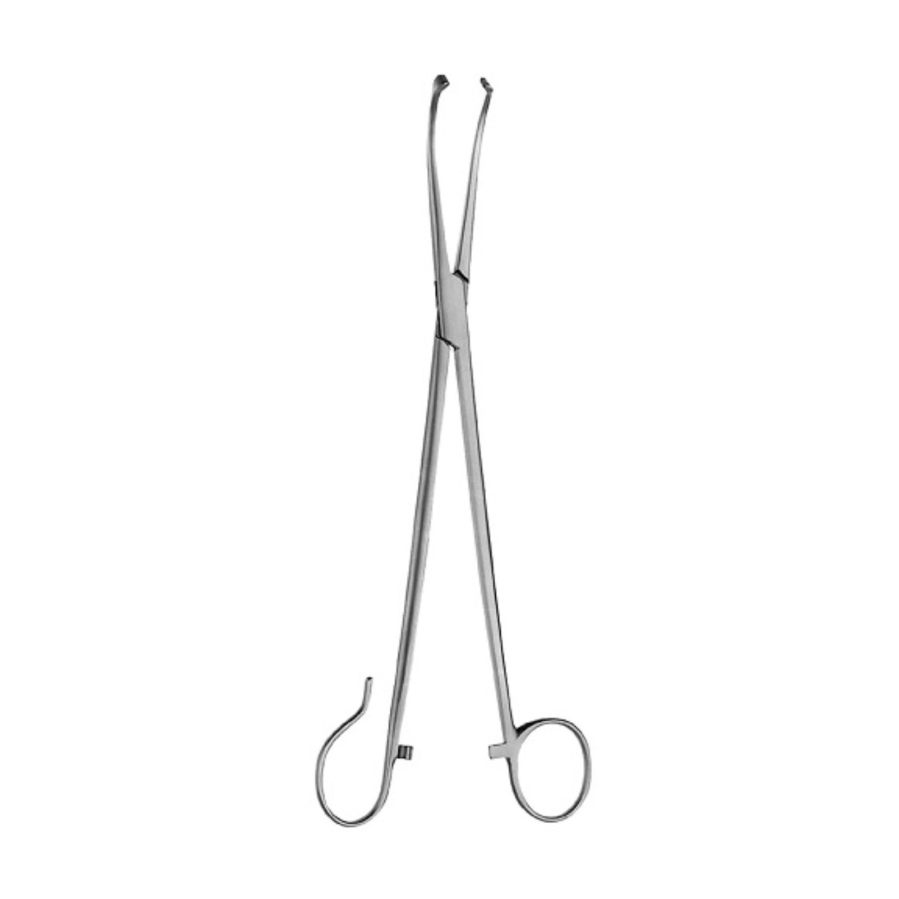 White Tonsil Seizing Forceps ENT Medical Tonsillectomy Surgery Instruments Clamps Wholesale Health Care Surgical Tools