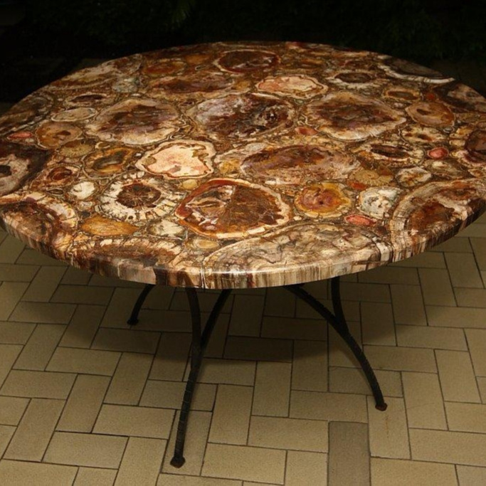 Petrified Wood Table Top