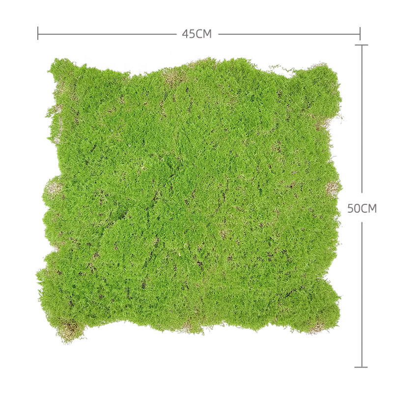 Hot Sale Artificial Green Moss Plants Grass Home Decoration Green Carpet Landscape Hang Wall Artificial Moss For indoor