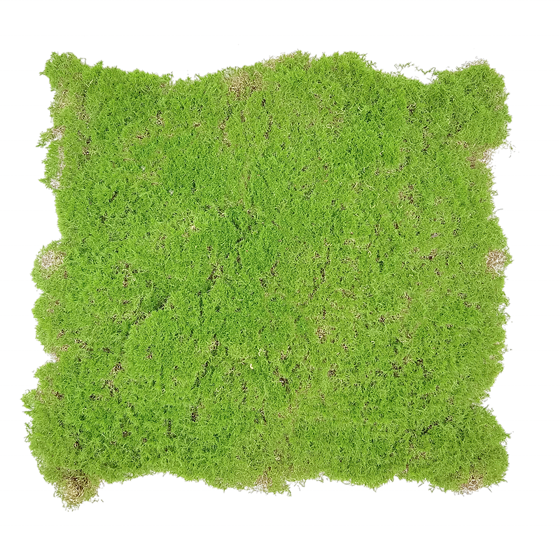 Hot Sale Artificial Green Moss Plants Grass Home Decoration Green Carpet Landscape Hang Wall Artificial Moss For indoor