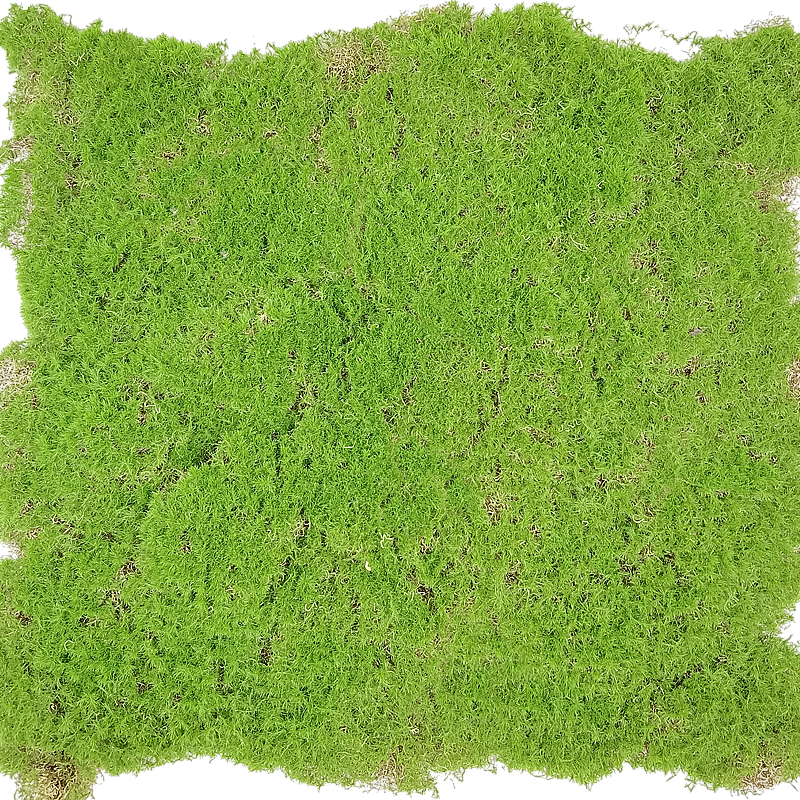 Hot Sale Artificial Green Moss Plants Grass Home Decoration Green Carpet Landscape Hang Wall Artificial Moss For indoor