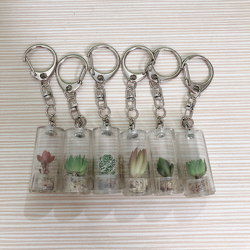 Fluffy Cactus White Cactus Live Plant Keychain