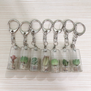 Fluffy Cactus White Cactus Live Plant Keychain