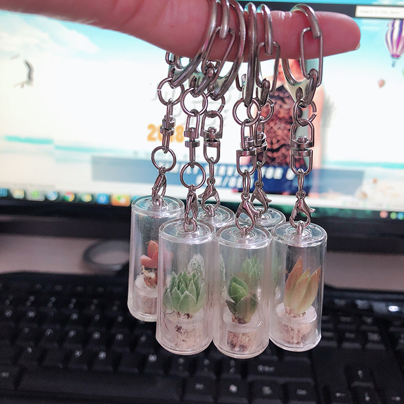 Fluffy Cactus White Cactus Live Plant Keychain