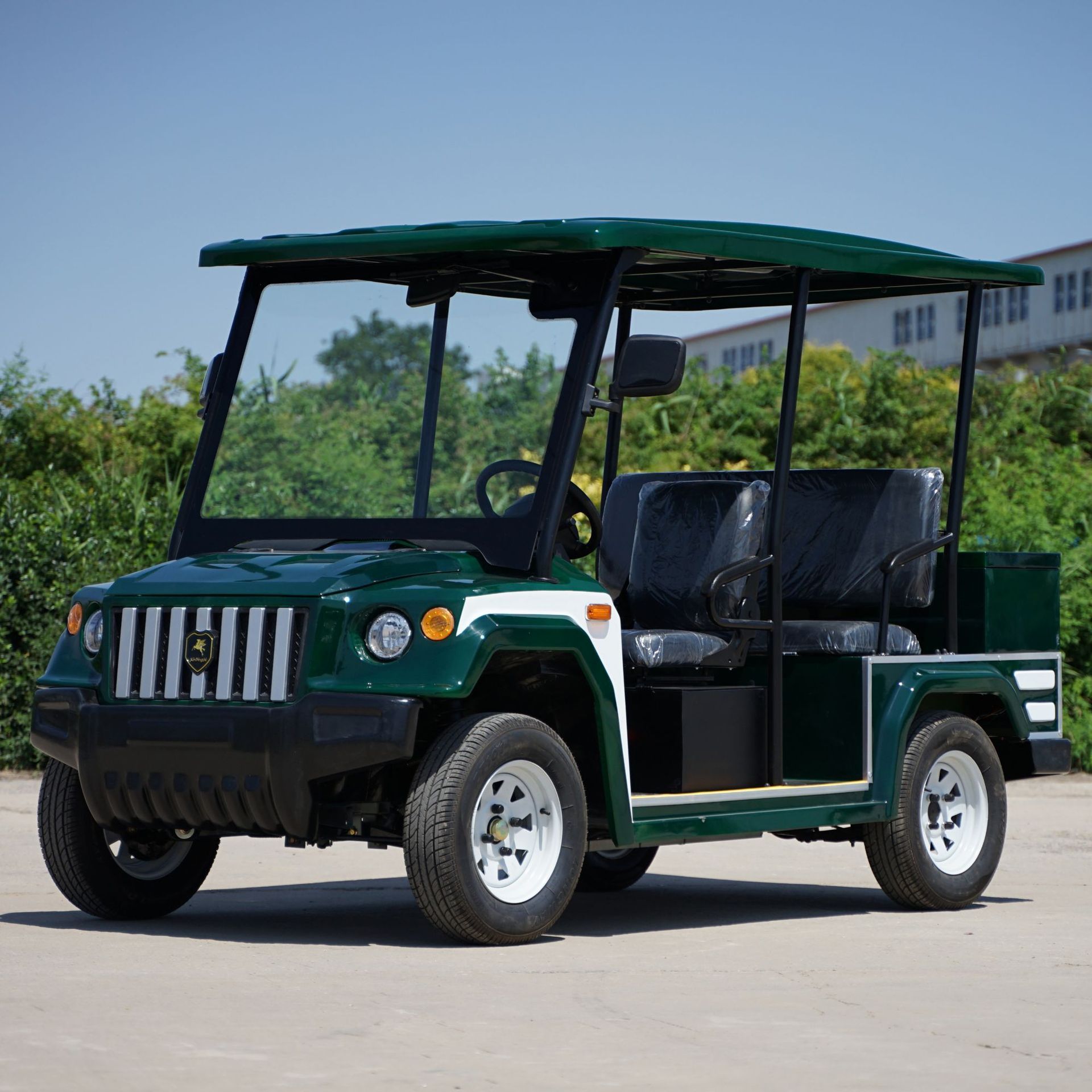 Golf Cart Buggy Antique Sightseeing Electric Vintage Classic Car For Adults Sale