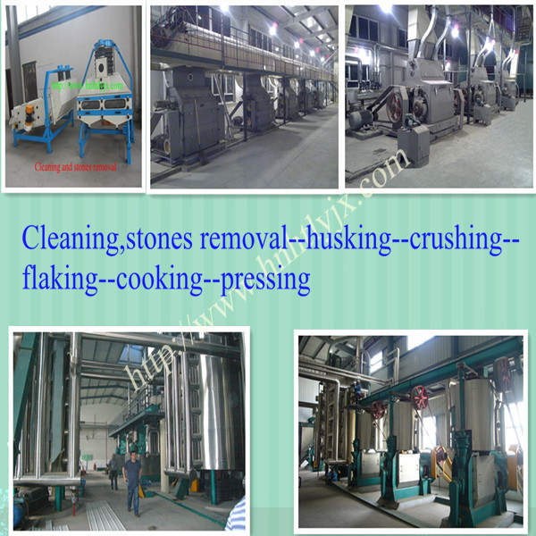 sunflower oil press machine and peanut oil making machine