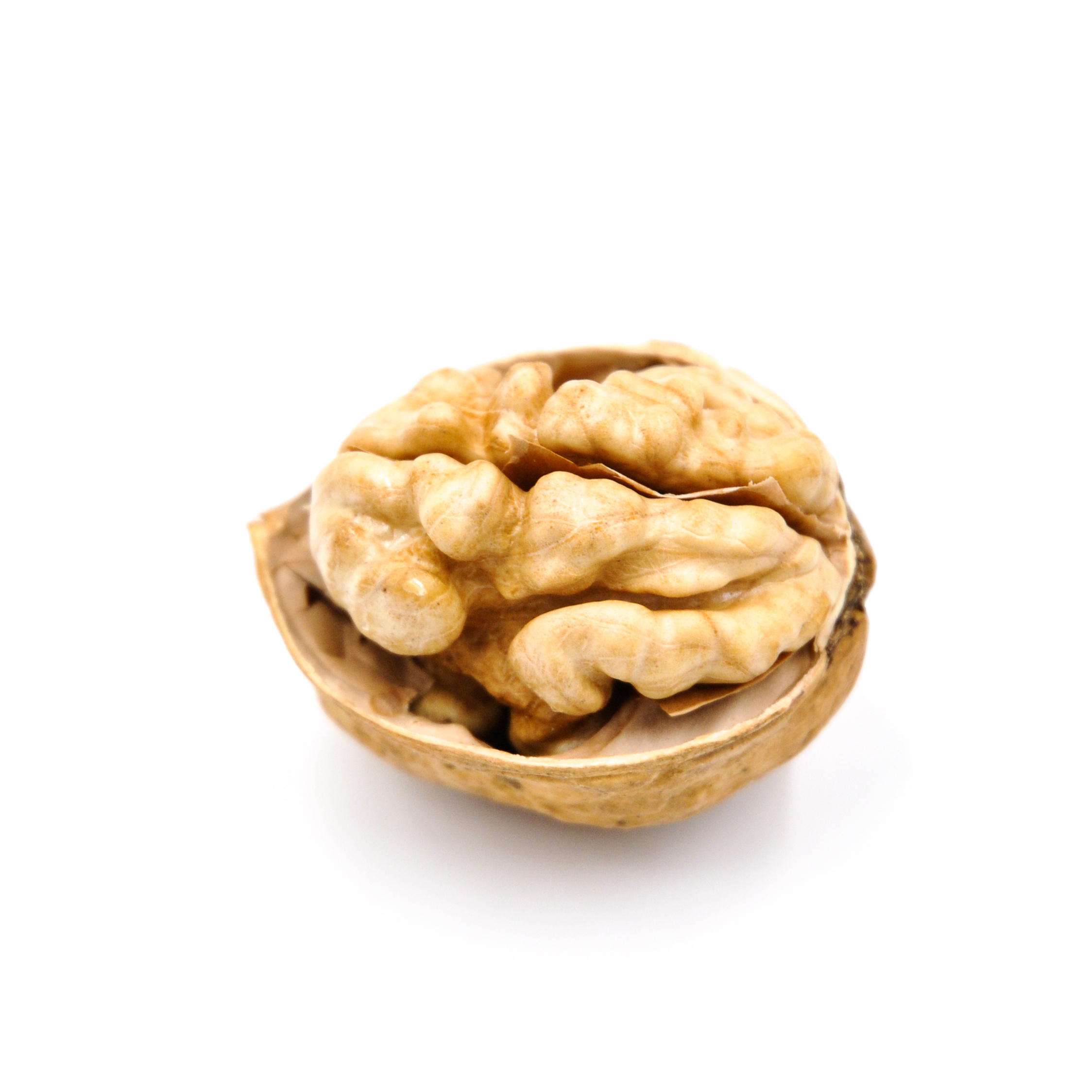 Cheap Walnuts than Chilean Walnuts Inshell Walnut Price China