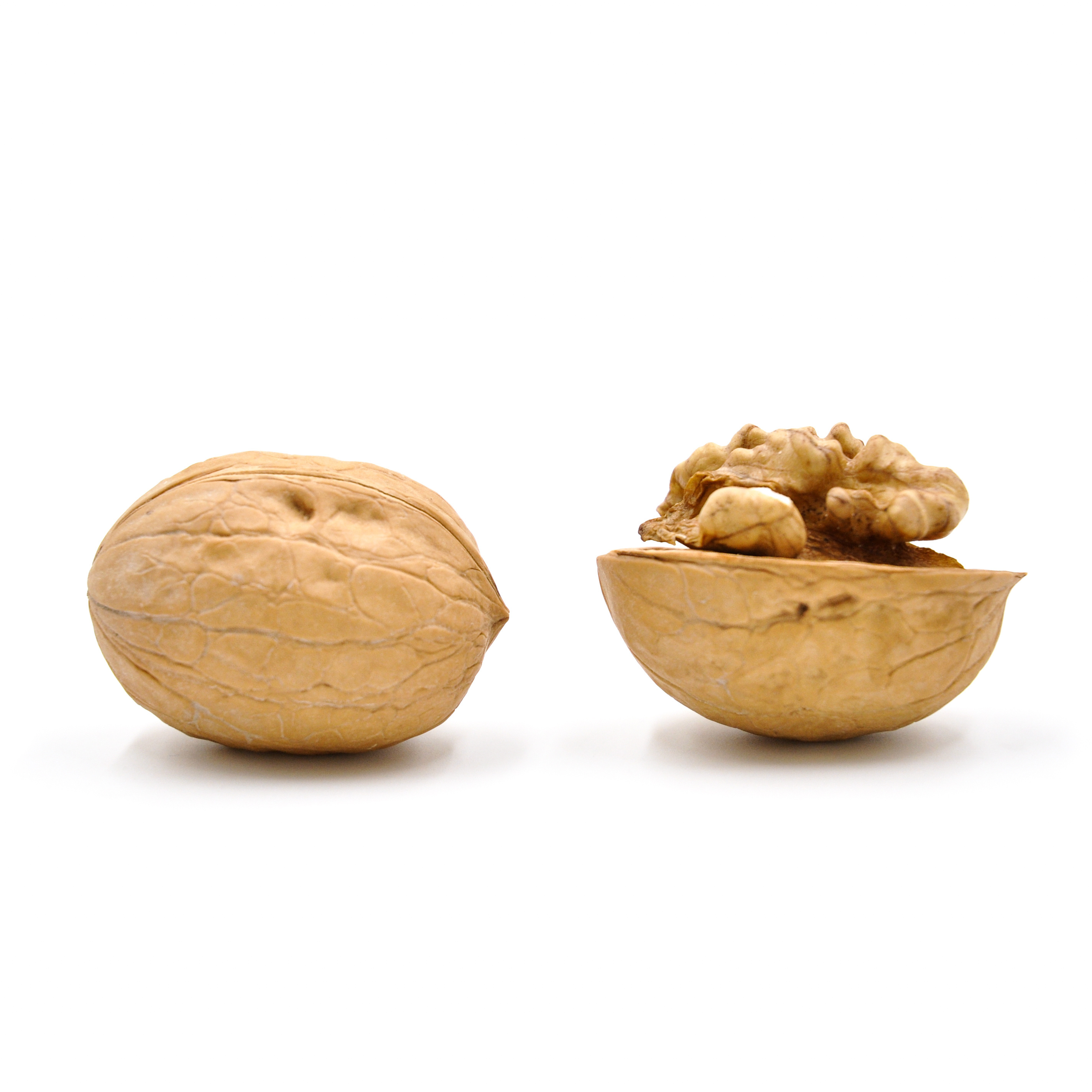 Cheap Walnuts than Chilean Walnuts Inshell Walnut Price China