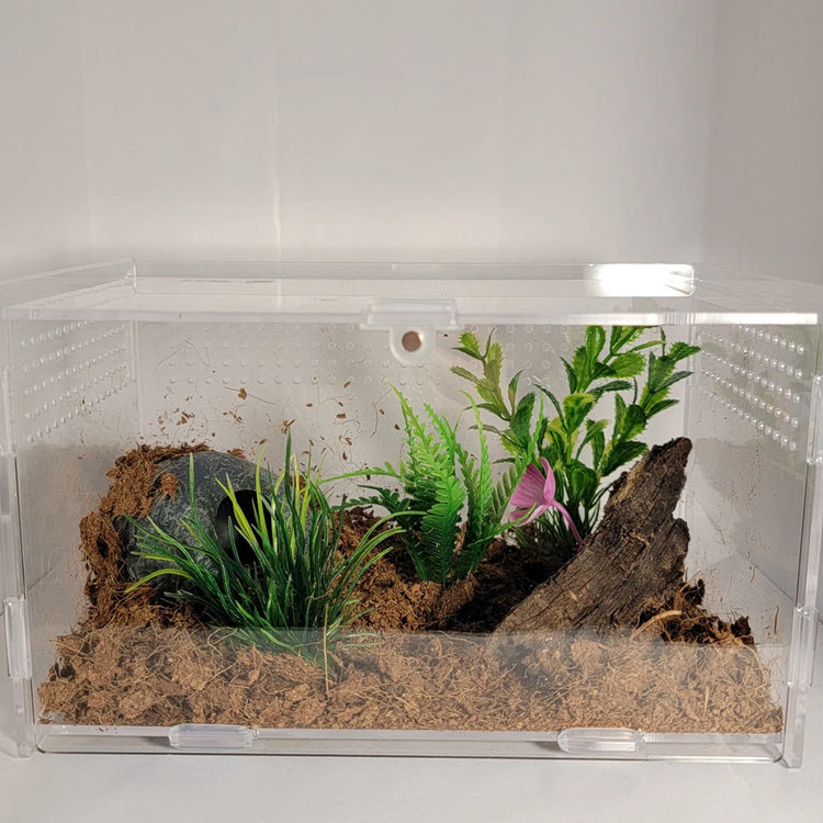 Customized Clear Acrylic Terrarium Pet Reptile Display Case Reptile Habitat With Magnetic Door