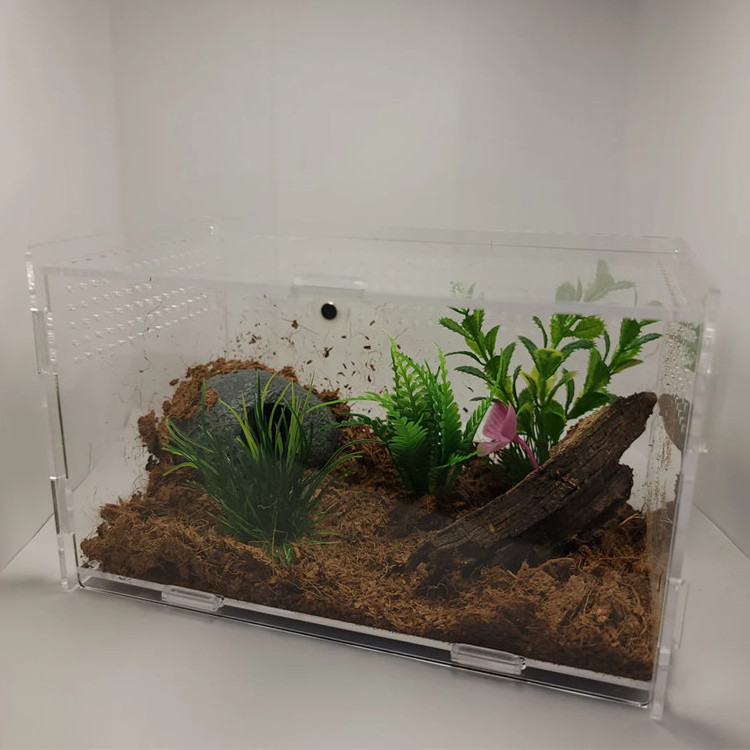 Customized Clear Acrylic Terrarium Pet Reptile Display Case Reptile Habitat With Magnetic Door