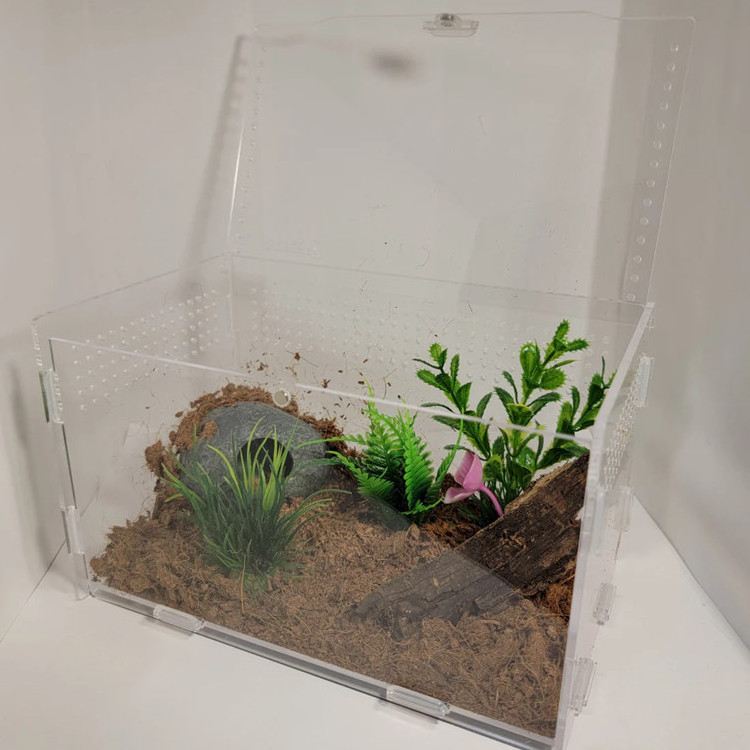 Customized Clear Acrylic Terrarium Pet Reptile Display Case Reptile Habitat With Magnetic Door