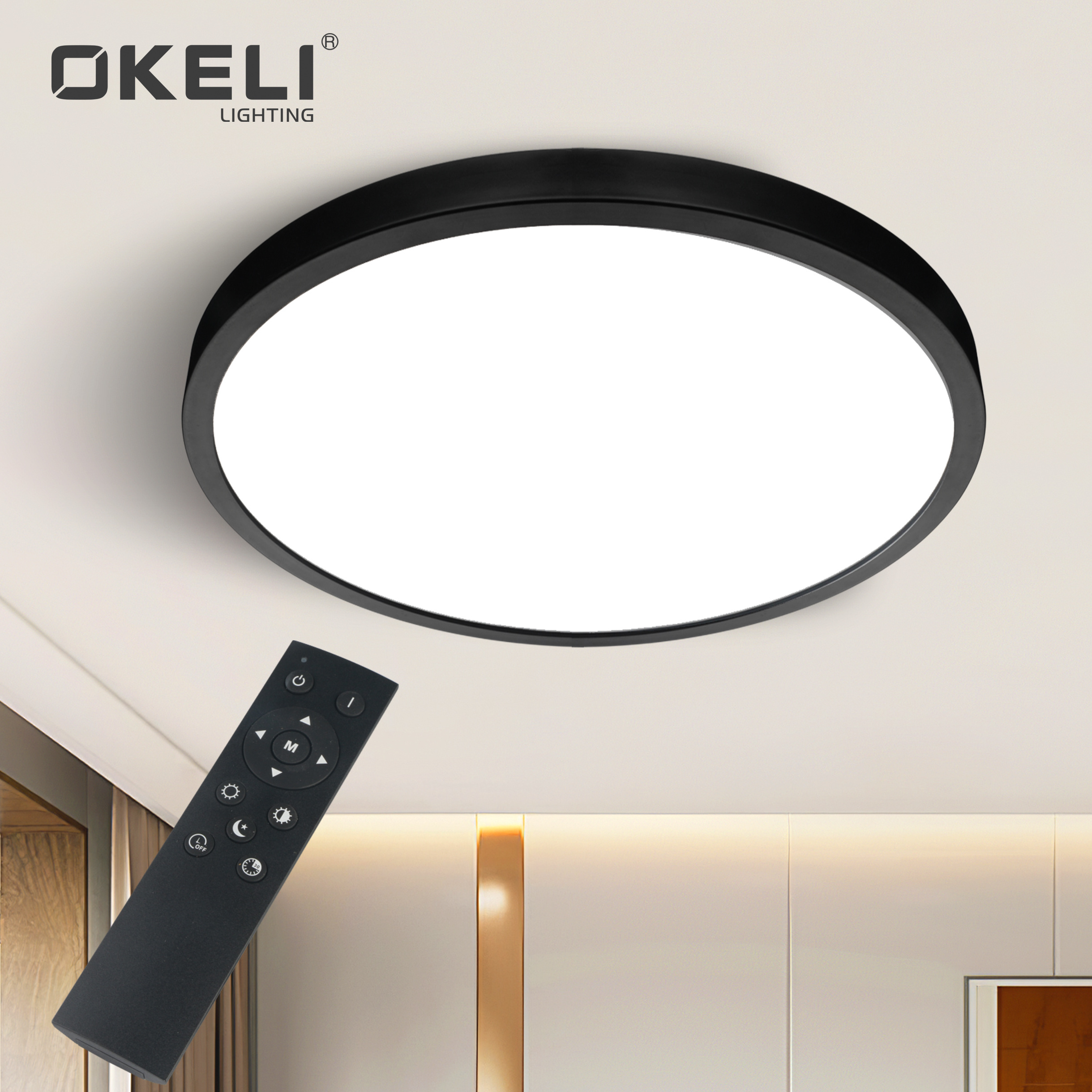 OKELI Led Flush Mount Modern Design Ceiling Light Fixtures Black Thin Dimmable Acrylic Ceiling Lights For Bedroom Hallway