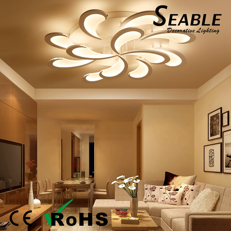 Contemporary Safety Home Modern House Room Decorative Led Surface Mounted Ceiling Light