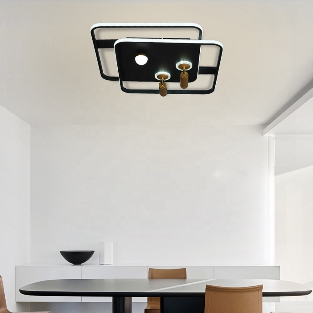 Seable Aluminum Light Fixtures Ceiling Flush Mount Ceil Lights Modern Ceiling Led Living Room