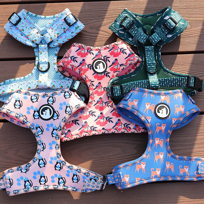 High Quality Polyester Printed Colorful Custom Comfortable Cat Dog Harness And Leash For Pets