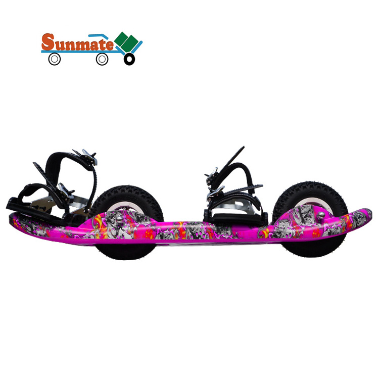 New Design Colorful all terrain street sand grass plastic deck 2 wheel skateboard longboard