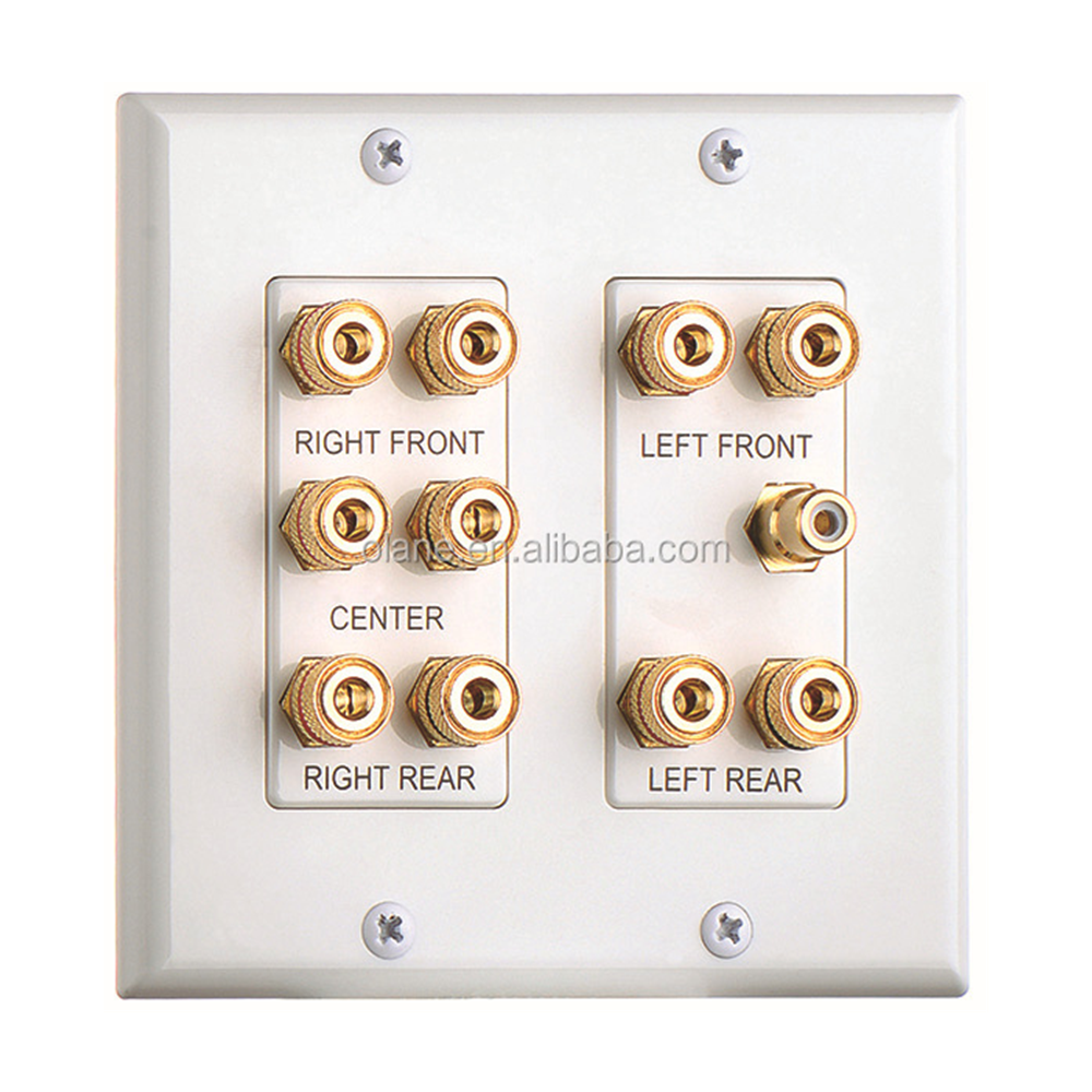 Minimal design 2 Gang 5.1 Surround Distribution Home Theater Wall Plate Porous wall plate