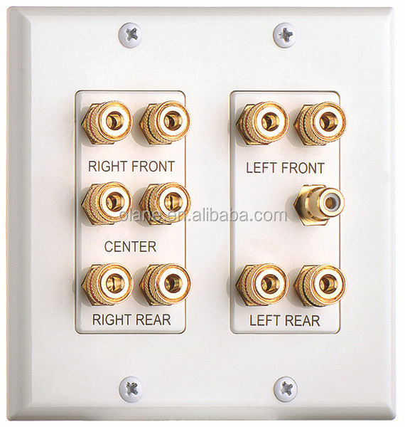 Minimal design 2 Gang 5.1 Surround Distribution Home Theater Wall Plate Porous wall plate