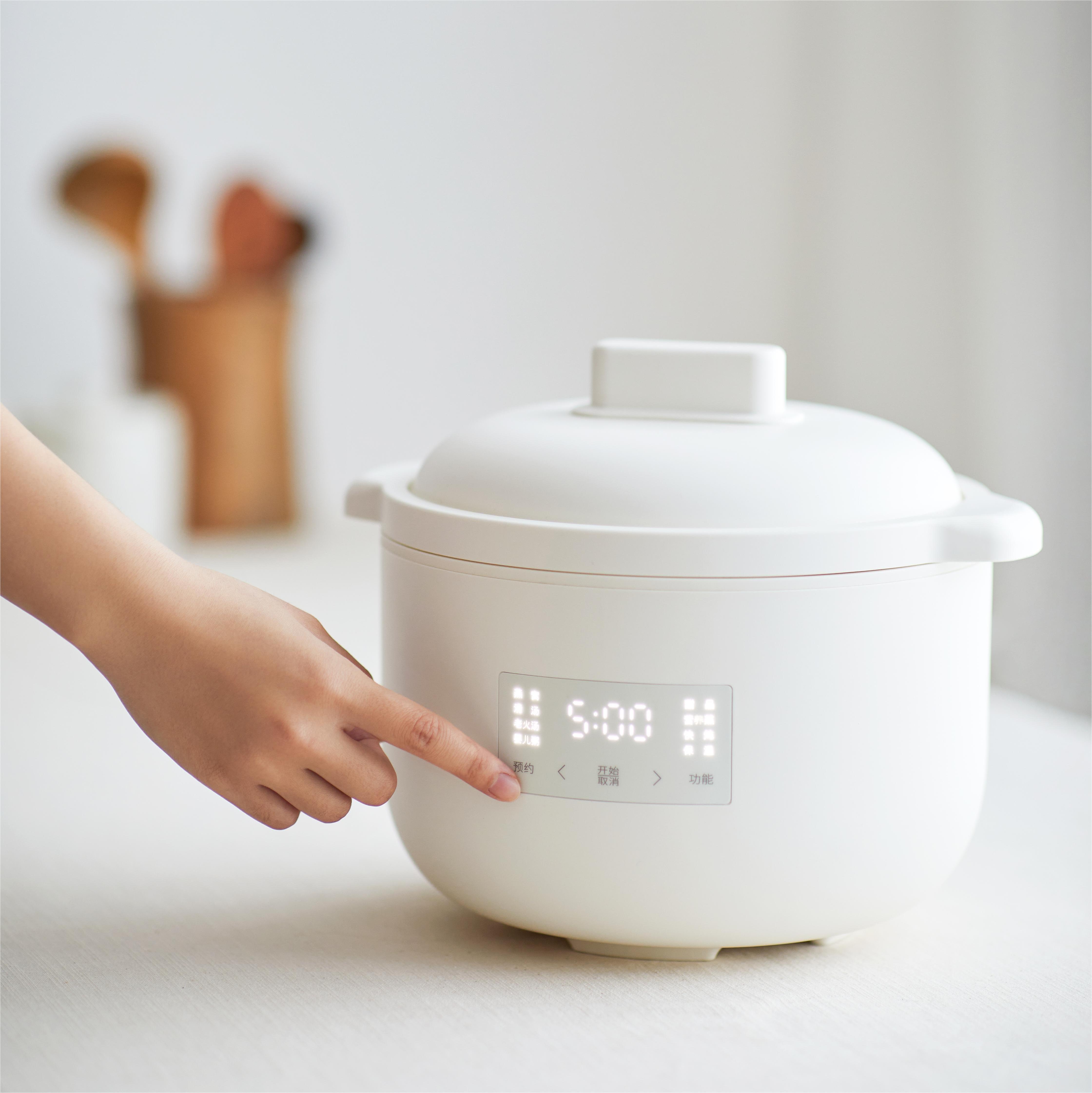 Multifunctional Rice Soup Cooking Ceramic Electric Crock Pot Health Crock Pots With Steamer 2.5L Ceramic Inner Slow Cooker