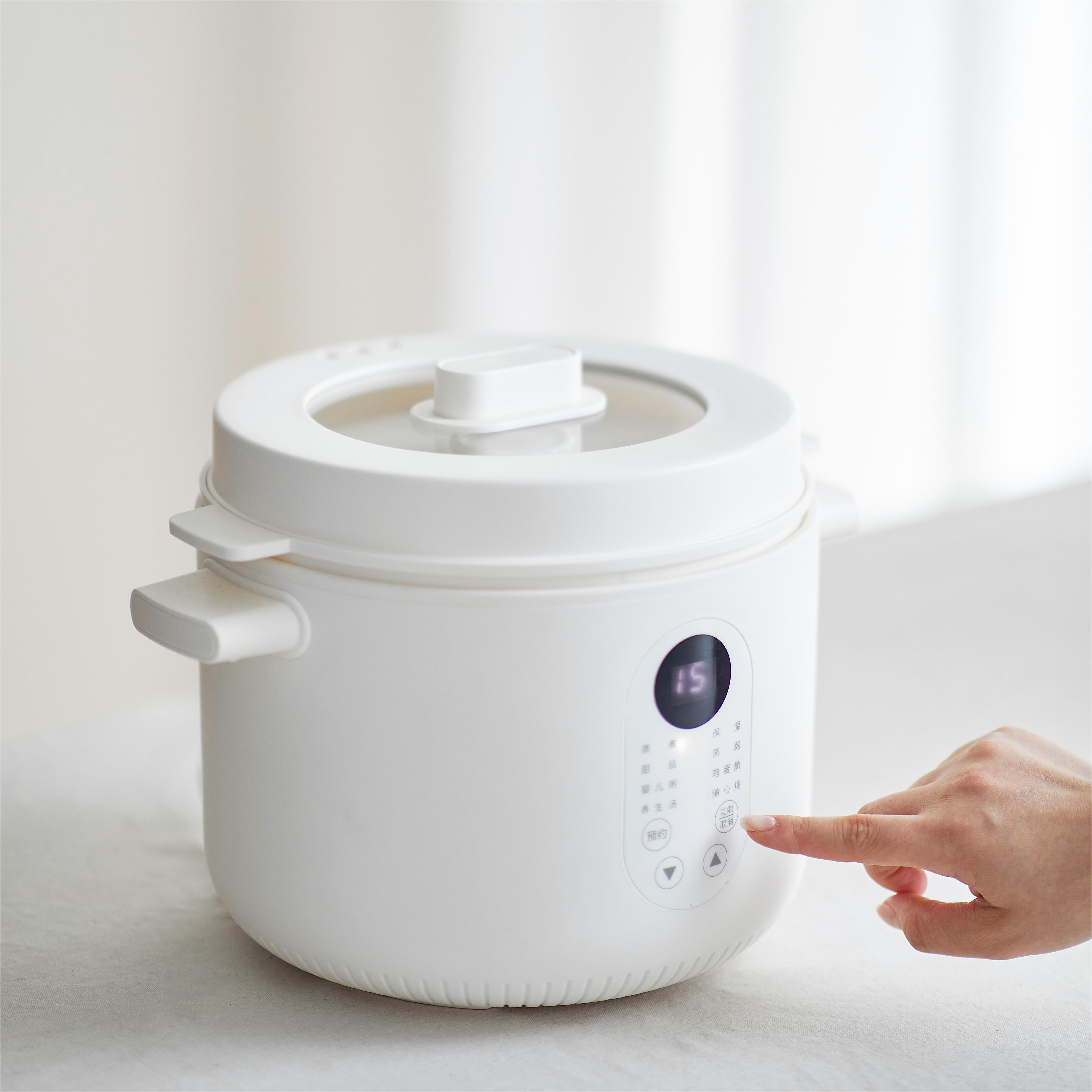 New Design Round Electric Slow Cooker Stew pot with Removable 2.5L Ceramic Pot and Steamer